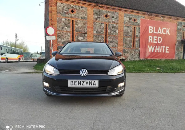 volkswagen Volkswagen Golf cena 47900 przebieg: 194000, rok produkcji 2017 z Chocz